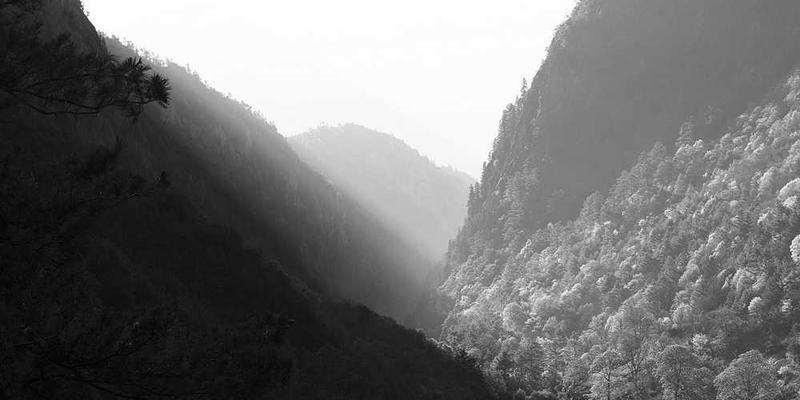 《青灯星辰》